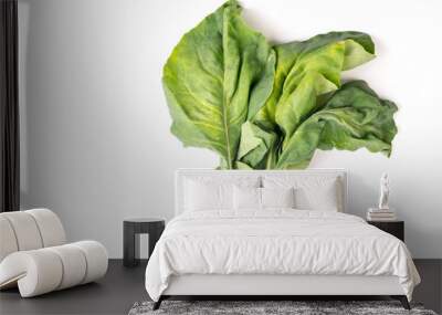 Organic green healthy fresh Asian Alboglabra leaves Wall mural