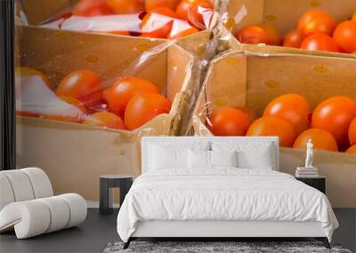 ripe cherry tomatoes packages in box and plastic Wall mural