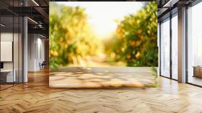 Empty wood table with free space over orange trees, orange field background. For product display montage. Wall mural