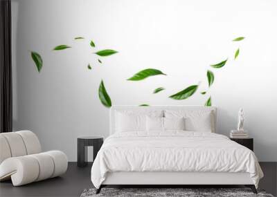 Flying green leaves on transparent background. Fresh spring foliage. Environment and ecology backdrop Wall mural