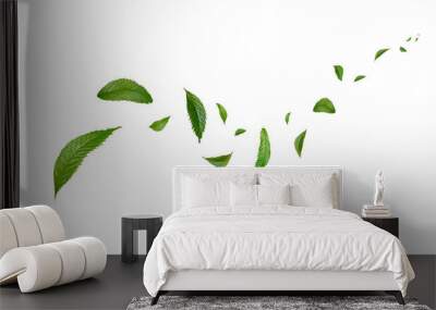 Green Floating Leaves Flying Leaves Green Leaf Dancing, Air Purifier Atmosphere Simple Main Picture. Wall mural