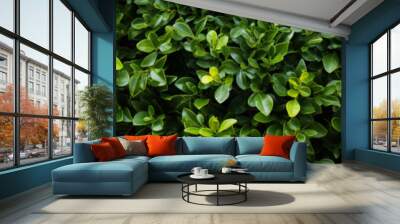 Green nature leaf for background Wall mural