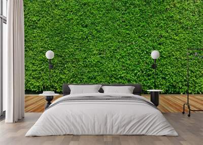 Old wood or flooring and plant in garden decorative Wall mural