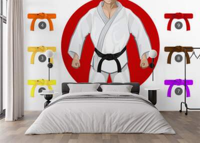 KARATE Martial Art Belt Rank System Wall mural