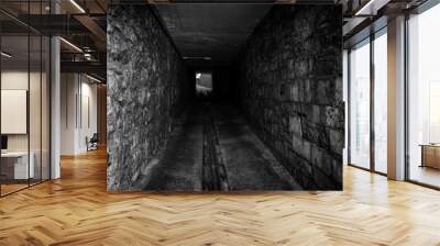 Scary dark tunnel Wall mural