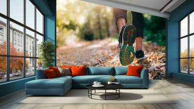 Closeup of running shoe of the person running in the nature with beautiful sunlight. Wall mural