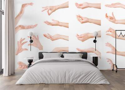 Set of woman hands showing, holding and supporting something. Isolated with clipping path Wall mural