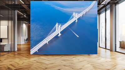 Speed ship passing under large cable stayed bridge aerial view Wall mural