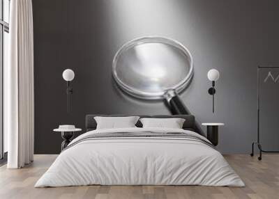 magnifier Wall mural