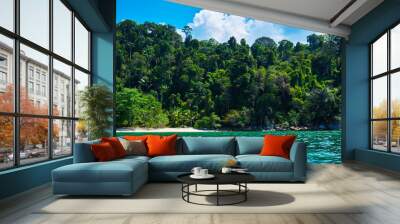 Landscape of the line of the rainforest, from the ocean. Tropical island in Indian Ocean. Uninhabited and wild subtropical isle with palm trees. Blank sand on a tropical island. Wall mural