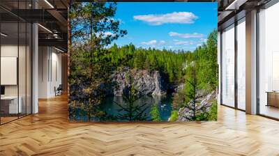 Northern nature in the wild. Pines on the shore of lake. Travel and discovery of beautiful places Wall mural