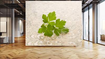 Fresh parsley leaves. Wall mural