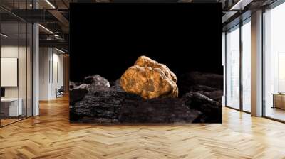 White truffle (tuber magnatum) on black. Wall mural