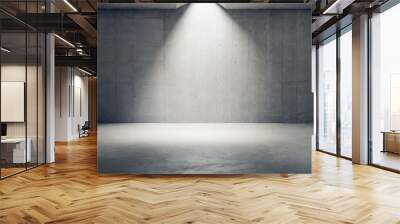 abstract empty, modern concrete room with spot light shining down on the back wall Wall mural