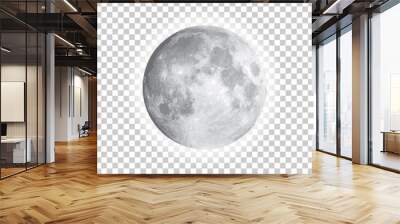 Full moon isolated with background, vector Wall mural