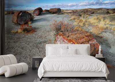 Petrified wood of triassic period in Petrified Forest Wall mural