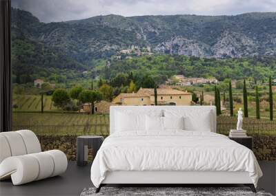 Vineyard fields with Opede Les Vieux uphill little village at background, France Wall mural