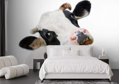 funny cute cow isolated on white. talking black and white cow. funny curious cow. farm animals. pet  Wall mural