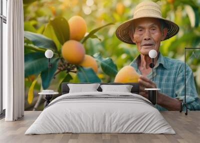 Asian farmer holding a mango at farm Wall mural