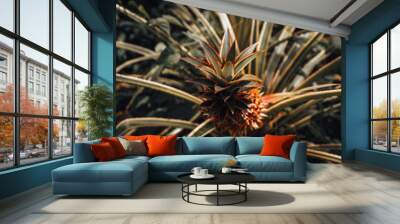 Pineapple Wall mural