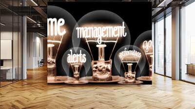 Light Bulbs with Time Management Concept Wall mural