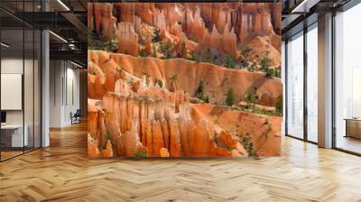 Brice Canyon national park, USA Wall mural