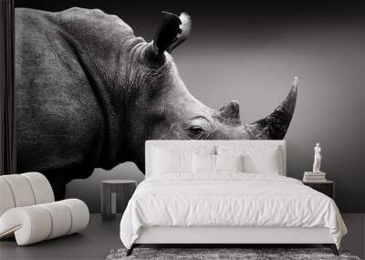 Highly alerted rhinoceros monochrome portrait. Fine art, South Africa. Ceratotherium simum Wall mural