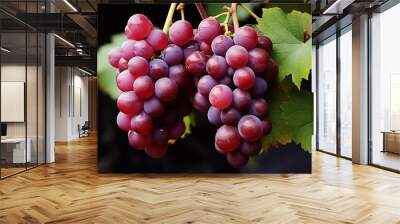 A large bunch of dark grapes. Wall mural