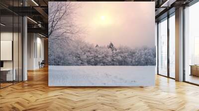 Panorama of snowy landscape in winter in Germany. Yellow sunset. Wall mural