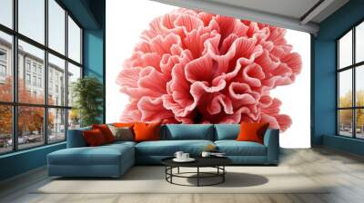 Red corals on a transparent background. Wall mural