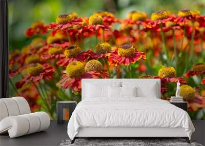 close-up of Helenium or sneezeweed flowers in a bright late summer garden Wall mural