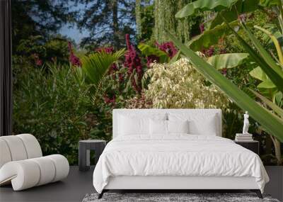 mix of tropical plants in a major garden display at the park Wall mural