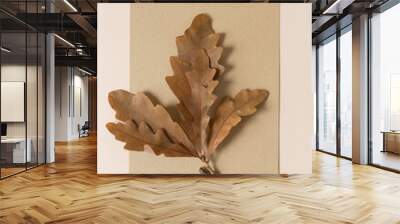 paper with leaves Wall mural