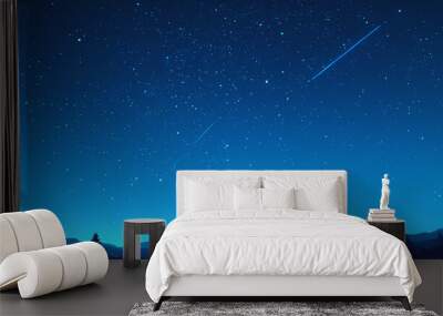 Starry night sky over a dark forest, with copy space. Anime style, for backgrounds, posters, postcards Wall mural