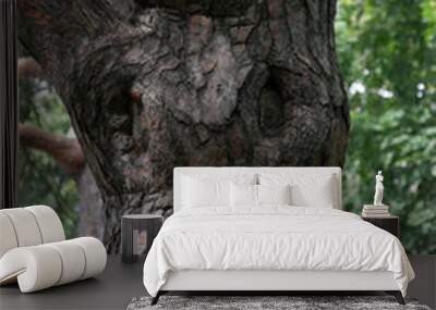 tree trunk with face Wall mural