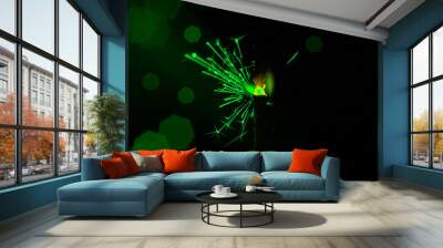 Sparkler in green and white light on a black background Wall mural