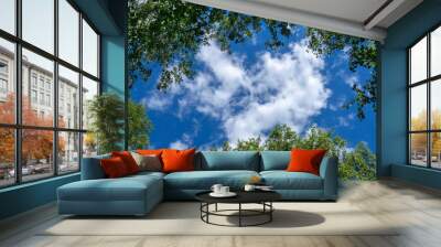 Blue sky and white clouds framed by tree branches with green foliage. Bottom view. Wall mural