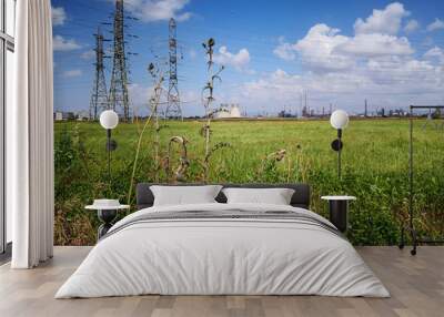 The green field with plumeless thistles and industrial cityscape on background Wall mural