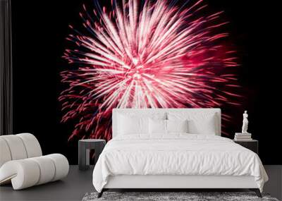 Colorful celebration fireworks isolated on black sky background. Wall mural