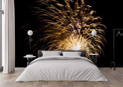 Colorful celebration fireworks isolated on black sky background. Wall mural