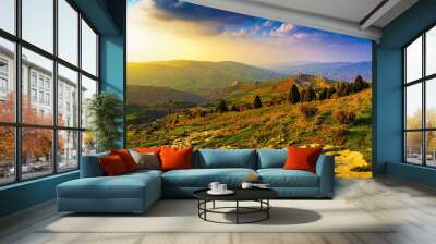 Foggy sunset or dawn in the mountains covered with grass and cloudy dramatic sky. Wall mural