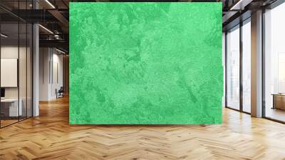 Texture of green decorative plaster or concrete. Wall mural