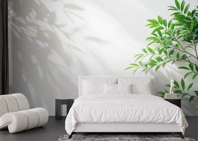 background with blurred foliage shadow on white wall Wall mural