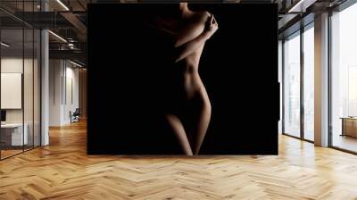 Nude Woman in the Dark. Beautiful Sexy Silhouette Wall mural