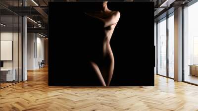 Nude Woman silhouette. Beautiful Naked Body Girl Wall mural