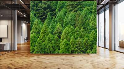 green forest background Wall mural