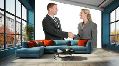 business people shaking hands Wall mural