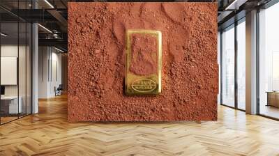 The gold bar put on the lateritic soil background represent treasure and business finance concept related idea. Wall mural