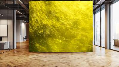 Abstract Neon Yellow Texture Background Wall mural