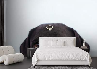 black labrador dog with a weeding ring on his head. Wedding concept.Pets indoors Wall mural